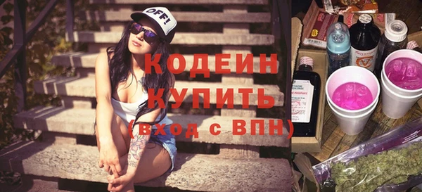 хмурый Каменногорск
