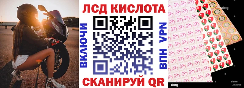 MEGA ONION  Дубовка  Марки 25I-NBOMe 1,8мг 