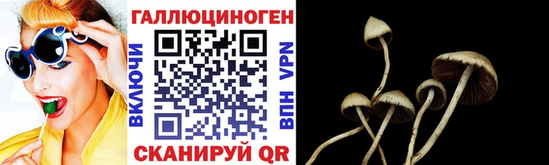 Галлюциногенные грибы прущие грибы  Дубовка 